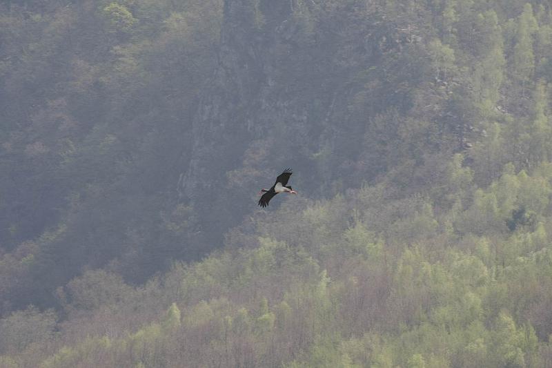Pvodn obrzek